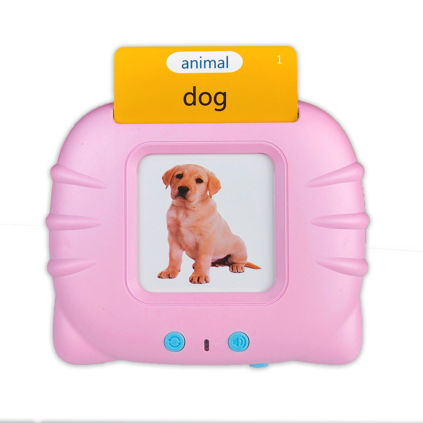 Talking Flash Cards for Kids (Educational Toy)