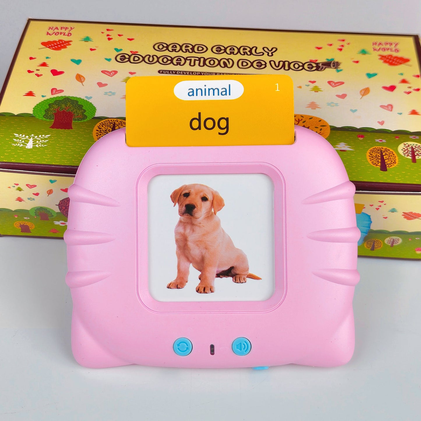 Talking Flash Cards for Kids (Educational Toy)