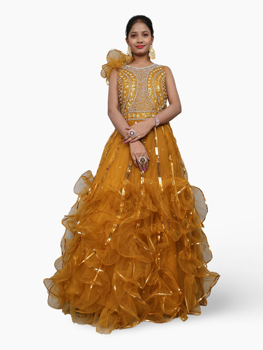 Gown with Cut Dana & Sequin Work by Shreekama