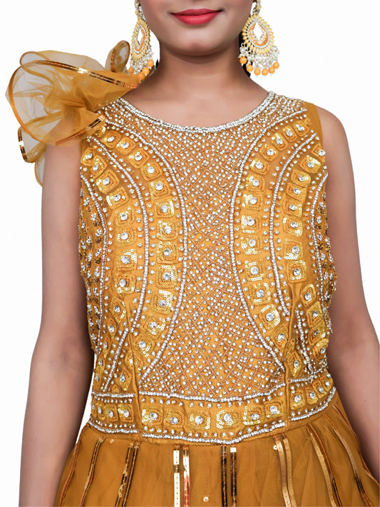 Gown with Cut Dana & Sequin Work by Shreekama